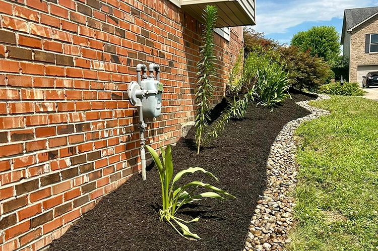 A brick wall with plants growing in the middle of it.