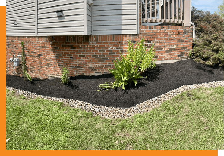 A garden bed with plants and rocks in front of a house.